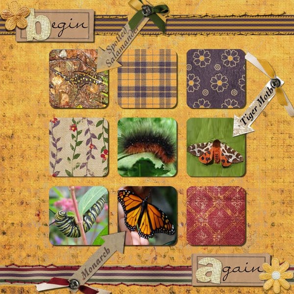 Facebook Layout with Jen Reed Designs